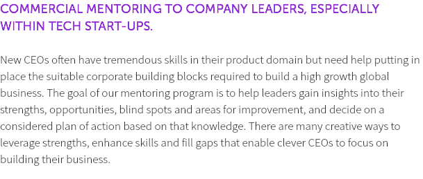 COMMERCIAL MENTORING TO COMPANY LEADERS, ESPECIALLY WITHIN TECH START-UPS. New CEOs often have tremendous skills in their product domain but need help putting in place the suitable corporate building blocks required to build a high growth global business. The goal of our mentoring program is to help leaders gain insights into their strengths, opportunities, blind spots and areas for improvement, and decide on a considered plan of action based on that knowledge. There are many creative ways to leverage strengths, enhance skills and fill gaps that enable clever CEOs to focus on building their business. 
