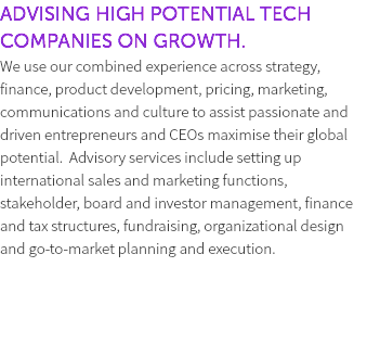ADVISING HIGH POTENTIAL TECH COMPANIES ON GROWTH. We use our combined experience across strategy, finance, product development, pricing, marketing, communications and culture to assist passionate and driven entrepreneurs and CEOs maximise their global potential. Advisory services include setting up international sales and marketing functions, stakeholder, board and investor management, finance and tax structures, fundraising, organizational design and go-to-market planning and execution. 