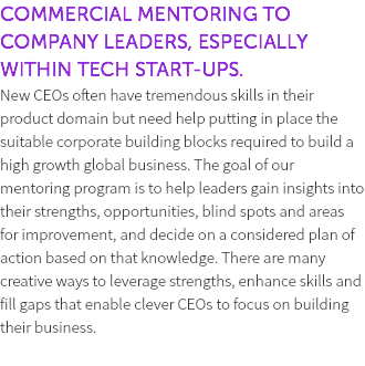 COMMERCIAL MENTORING TO COMPANY LEADERS, ESPECIALLY WITHIN TECH START-UPS. New CEOs often have tremendous skills in their product domain but need help putting in place the suitable corporate building blocks required to build a high growth global business. The goal of our mentoring program is to help leaders gain insights into their strengths, opportunities, blind spots and areas for improvement, and decide on a considered plan of action based on that knowledge. There are many creative ways to leverage strengths, enhance skills and fill gaps that enable clever CEOs to focus on building their business. 