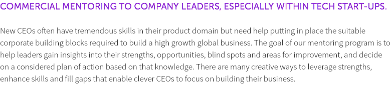 COMMERCIAL MENTORING TO COMPANY LEADERS, ESPECIALLY WITHIN TECH START-UPS. New CEOs often have tremendous skills in their product domain but need help putting in place the suitable corporate building blocks required to build a high growth global business. The goal of our mentoring program is to help leaders gain insights into their strengths, opportunities, blind spots and areas for improvement, and decide on a considered plan of action based on that knowledge. There are many creative ways to leverage strengths, enhance skills and fill gaps that enable clever CEOs to focus on building their business. 